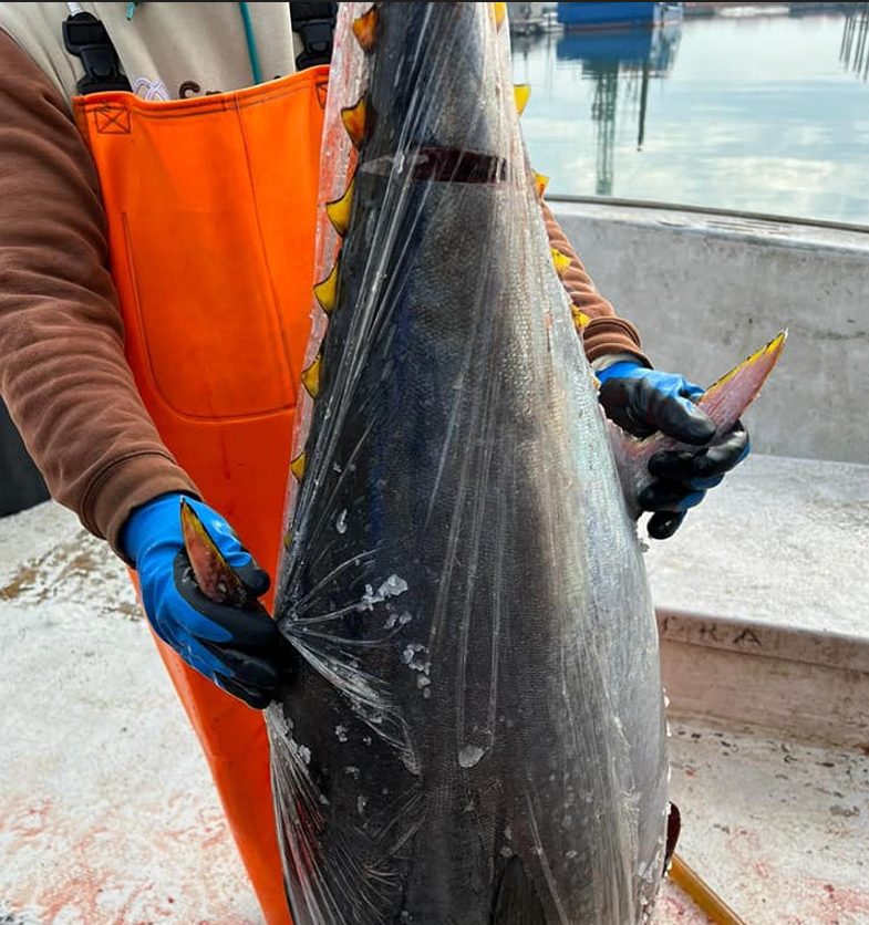 Il metodo di pesca Ikejime